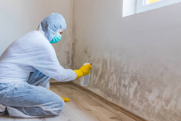 Black mold inspection in Richfield