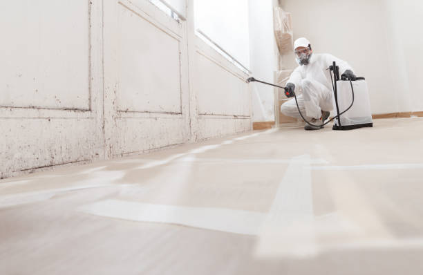 Black mold remediation team in Richfield
